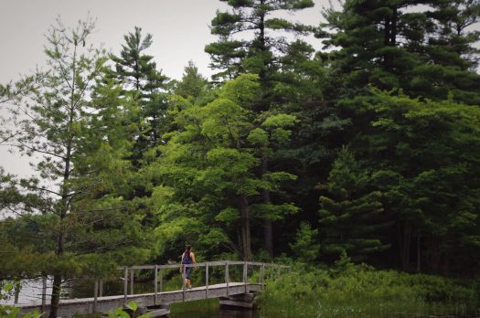 Nature All The Way: Muskoka Lakes