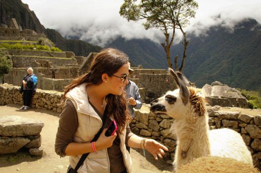 Machu Picchu: Wonderfully Stunning