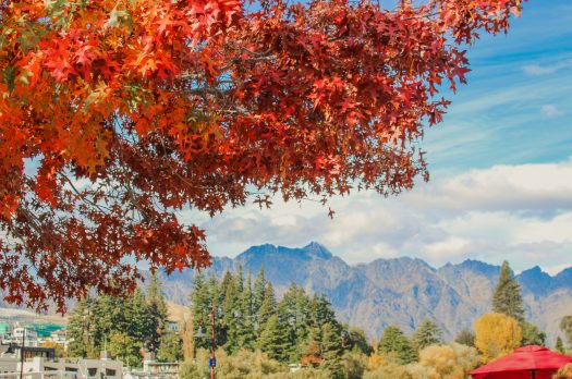 Queenstown, pure magic.