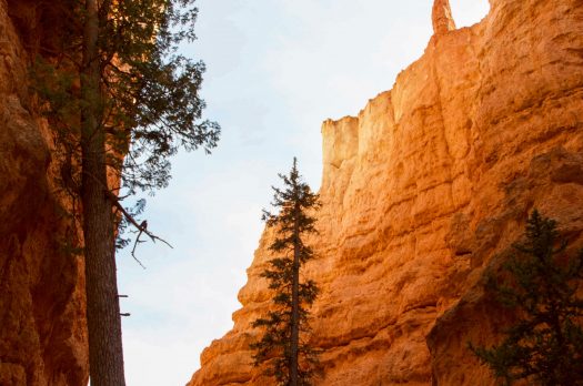 Bryce Canyon; out of this world.